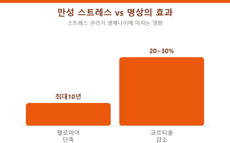 만성 스트레스와 명상의 생체나이 효과